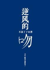 逆风的吻作者不甚了了