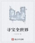 寻宝全世界叶天全文免费阅读