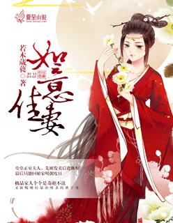 如意佳婿全本txt